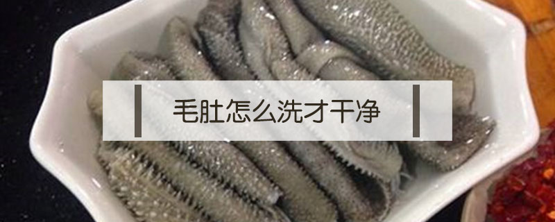 毛肚怎么洗才干净