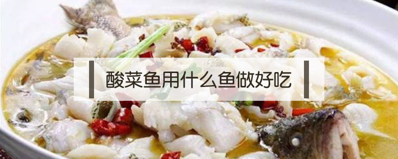 酸菜鱼用什么鱼做好吃