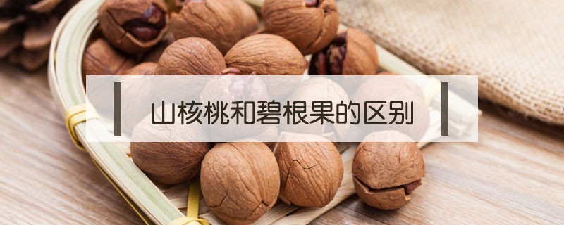 山核桃和碧根果的区别
