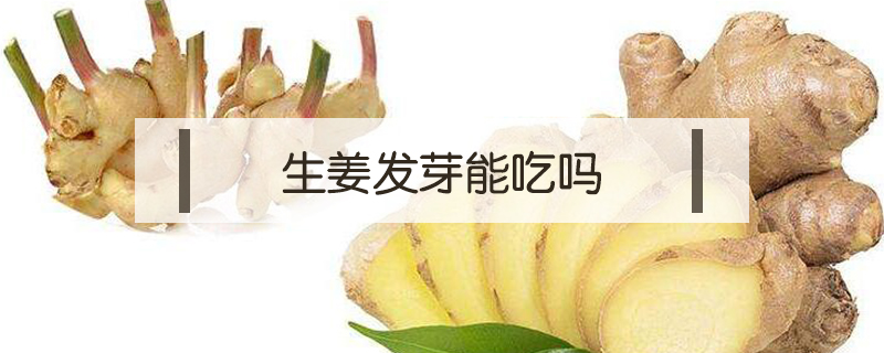生姜发芽能吃吗