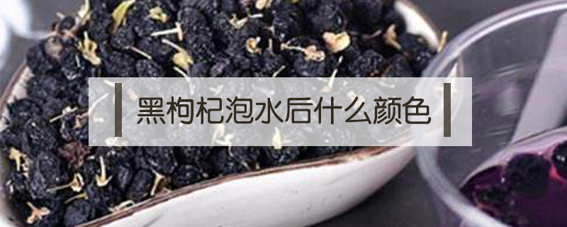 黑枸杞泡水后什么颜色
