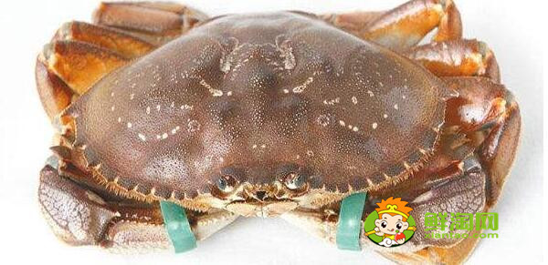 青蟹什么时候最肥美，浙江三门青蟹什么时候最肥美