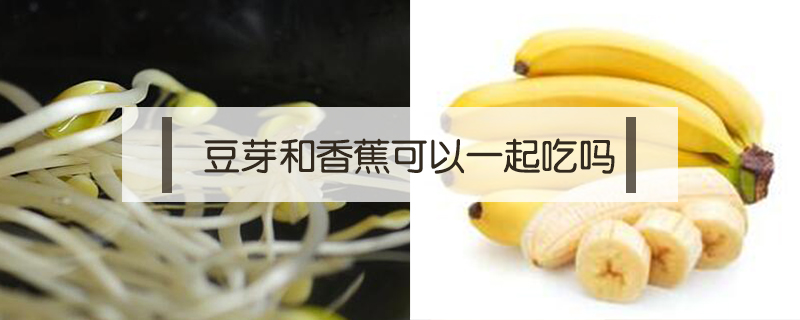 豆芽和香蕉可以一起吃吗