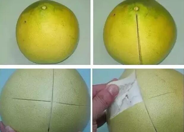 怎么剥出完整的柚子肉