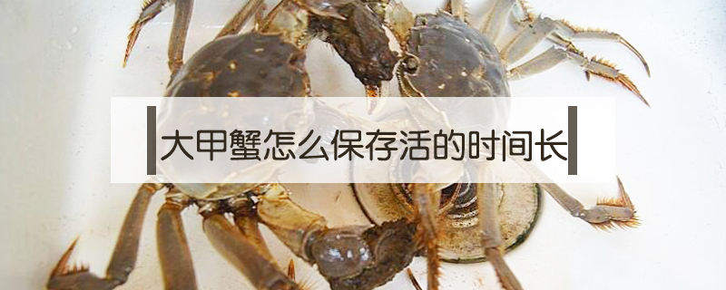 大甲蟹怎么保存活的时间长