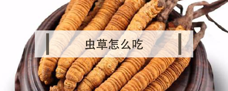 虫草怎么吃