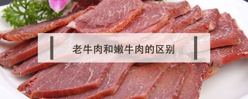 老牛肉和嫩牛肉的区别