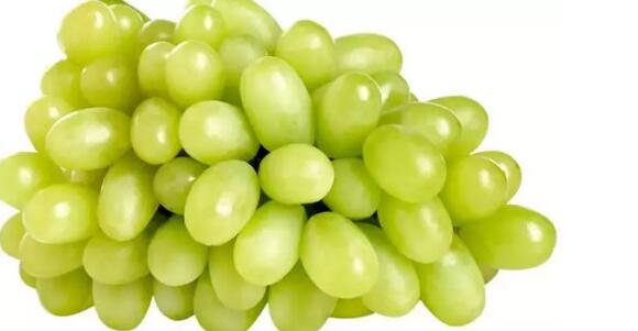 红葡萄和绿葡萄有什么区别