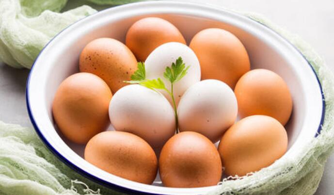 散养土鸡蛋和普通鸡蛋的区别