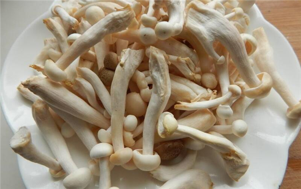椒盐蘑菇为什么炸不脆