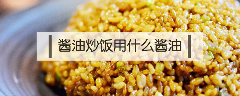 酱油炒饭用什么酱油