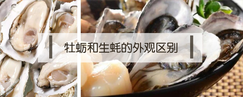 牡蛎和生蚝的外观区别