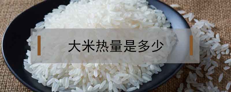 大米热量是多少