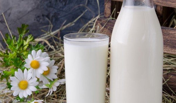 脱脂牛奶和全脂牛奶哪个有营养