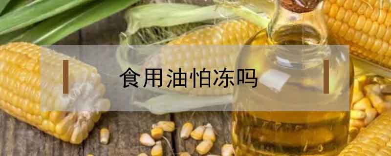 食用油怕冻吗