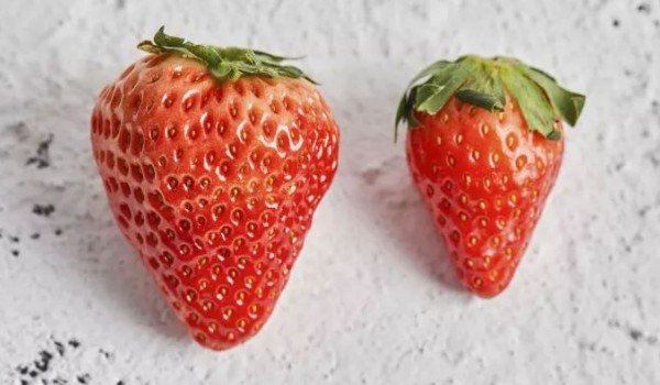 有机草莓和普通草莓的区别