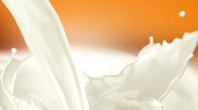 乳清蛋白和增肌粉的区别是什么