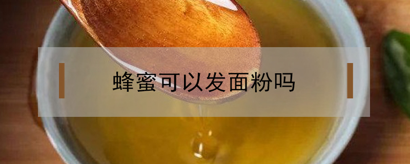 蜂蜜可以发面粉吗