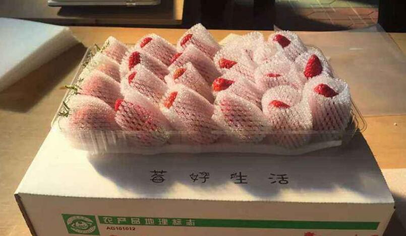 草莓真空包装能放多久