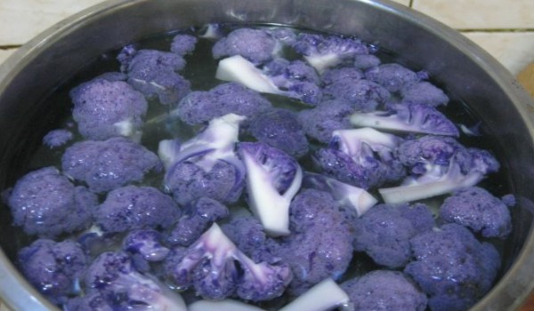 紫菜花怎么做好吃