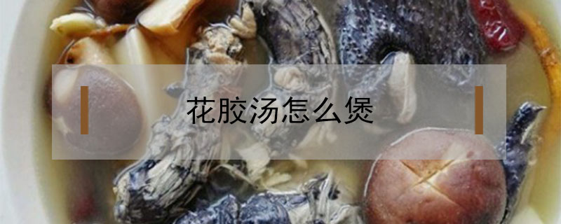 花胶汤怎么煲