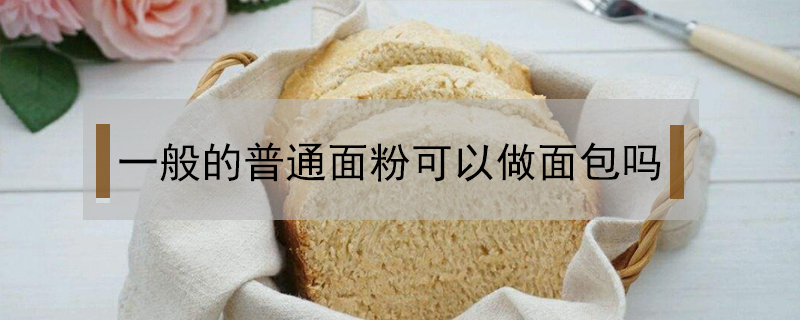 一般的普通面粉可以做面包吗