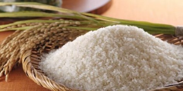 怎么保存大米不生虫子