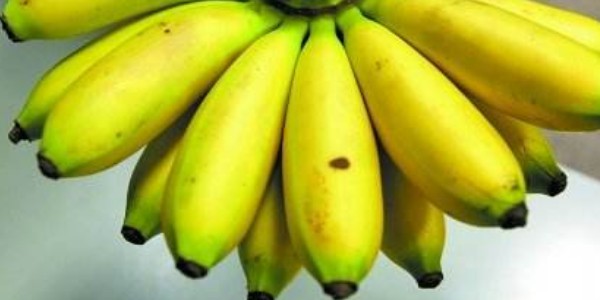 香蕉和芭蕉的区别