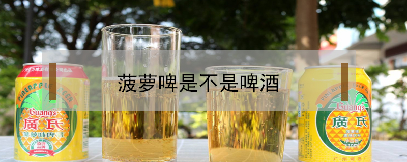 菠萝啤是不是啤酒