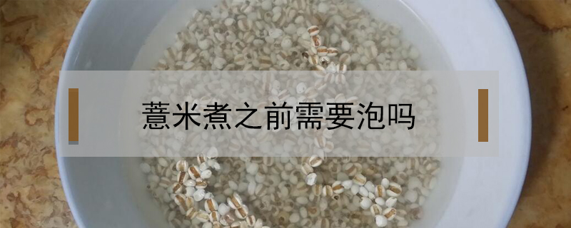 薏米煮之前需要泡吗