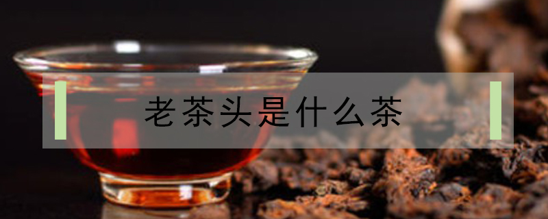 老茶头是什么茶