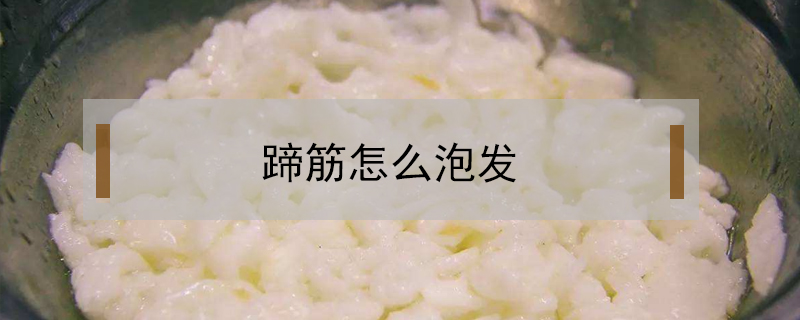 蹄筋怎么泡发