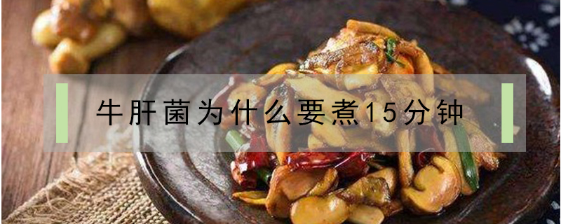 牛肝菌为什么要煮15分钟