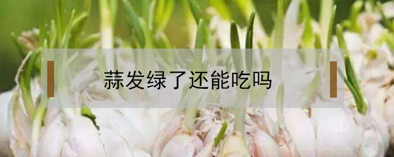 蒜发绿了还能吃吗