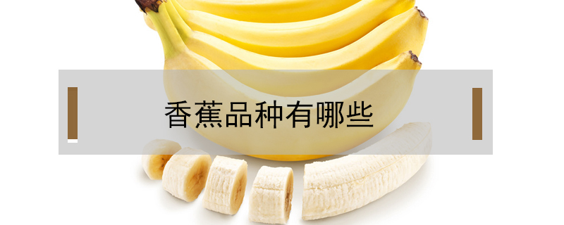 香蕉品种有哪些