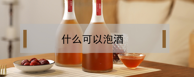 什么可以泡酒