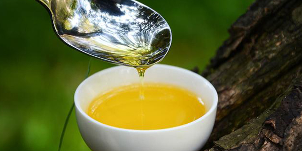 山茶油是山茶花的籽榨的吗