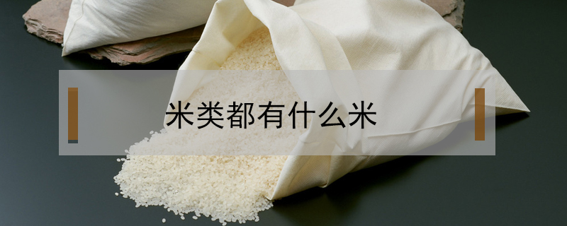 米类都有什么米