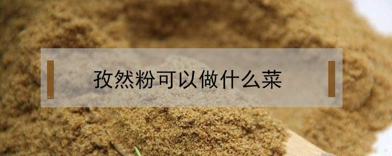 孜然粉可以做什么菜