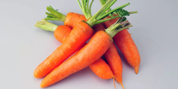 胡萝卜冬季储藏方法