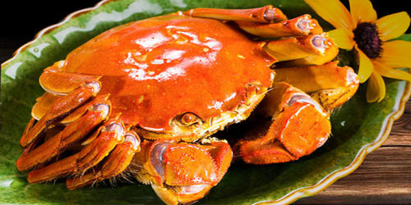 螃蟹能活多久家里怎样保存它