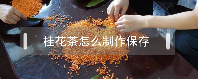 桂花茶怎么制作保存