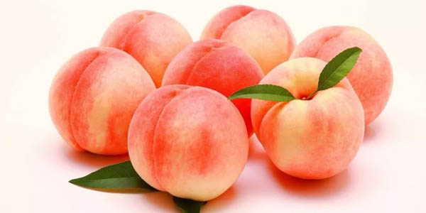 晚上吃桃子会胖吗