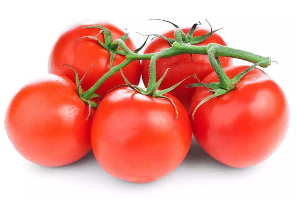1千克大约有多少个番茄