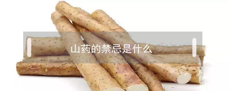 山药的禁忌是什么