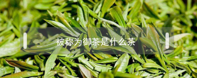 被称为御茶是什么茶