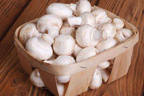 白蘑菇相克的食物