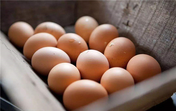 早餐为什么吃鸡蛋而不是鸭蛋