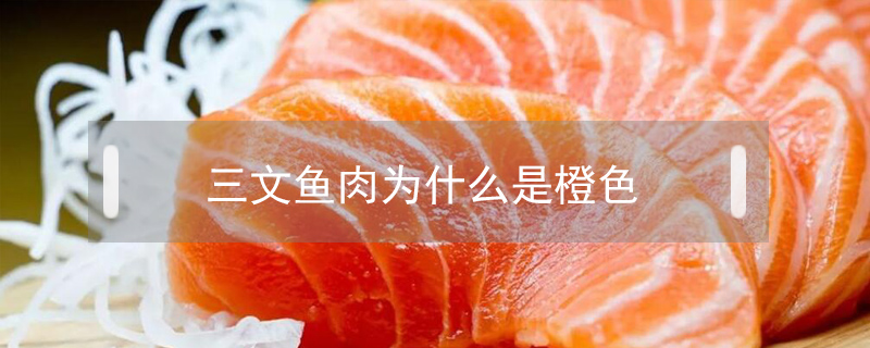 三文鱼肉为什么是橙色