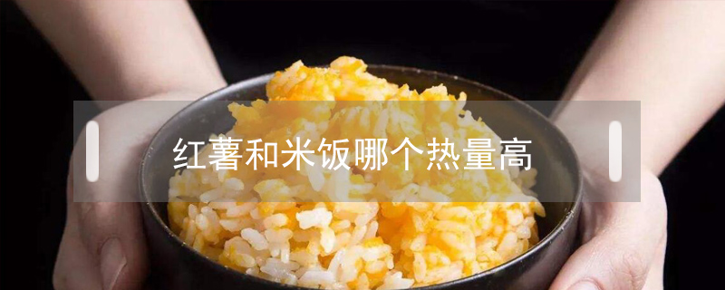 红薯和米饭哪个热量高